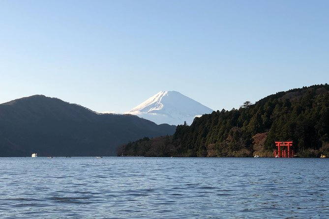 Hakone Private One Day Tour From Tokyo: Mt Fuji, Lake Ashi, Hakone National Park - Customer Reviews