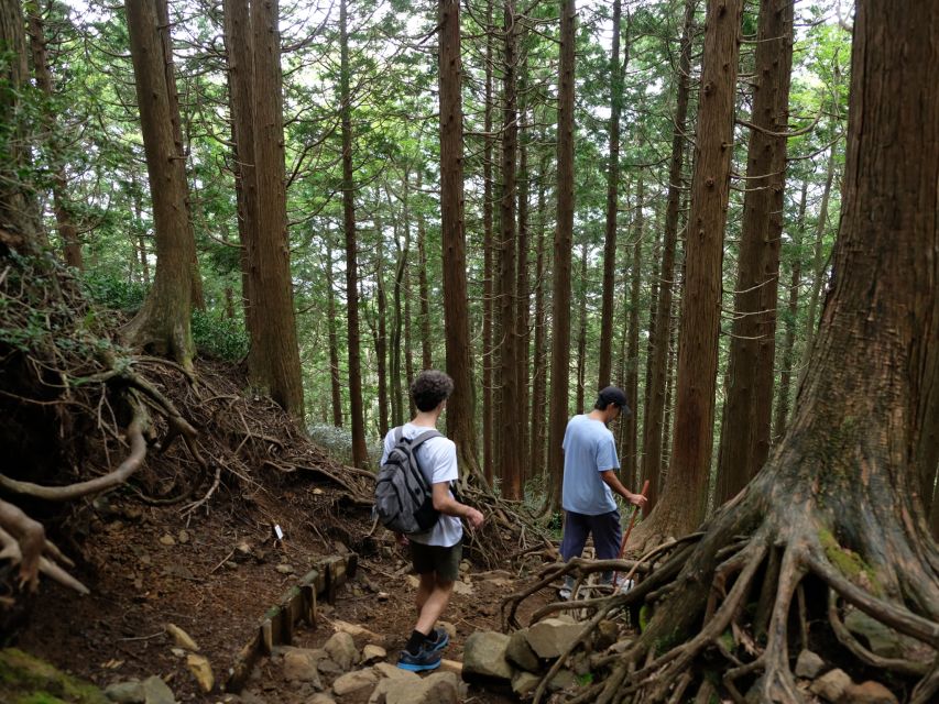 Hakone: Traverse the Hakone Caldera and Enjoy Onsen - Directions to the Meeting Point