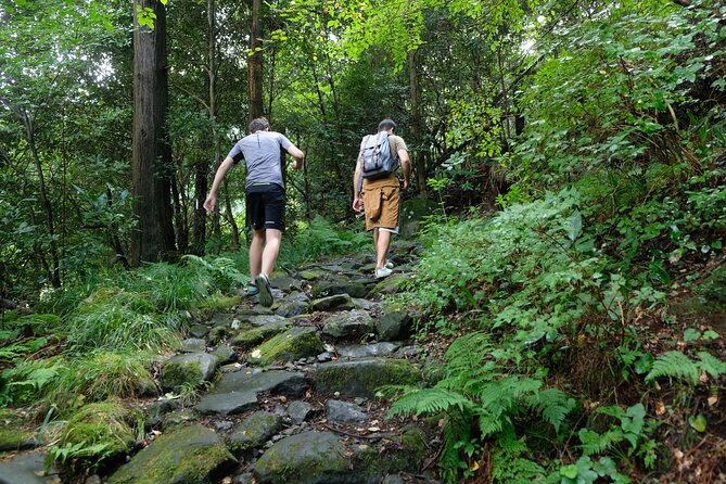 Hike Japan Heritage Hakone Hachiri With Certified Mountain Guide - Price