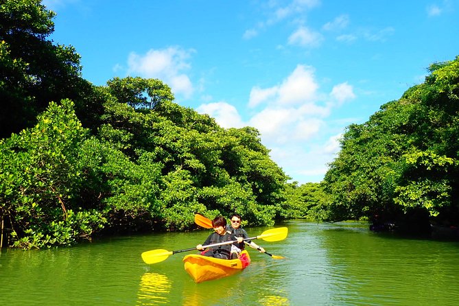 [Ishigaki]Mangrove SUP/Canoe + Blue Cave Snorkeling - Cancellation Policy