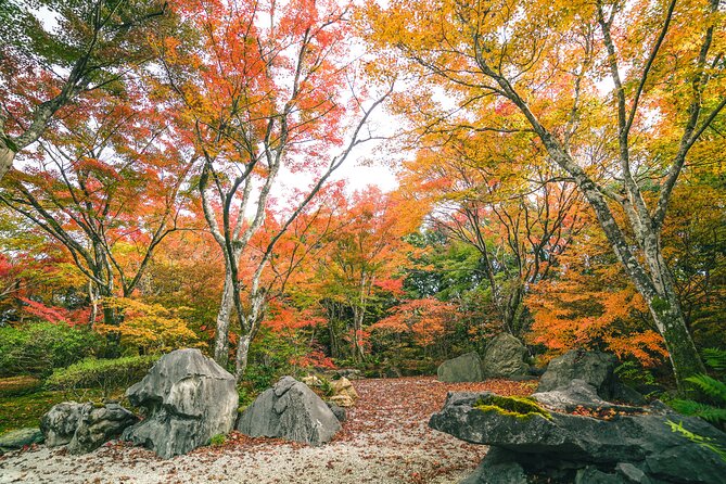 Kyoto Arashiyama Bamboo Forest & Garden Half-Day Walking Tour - Traveler Reviews