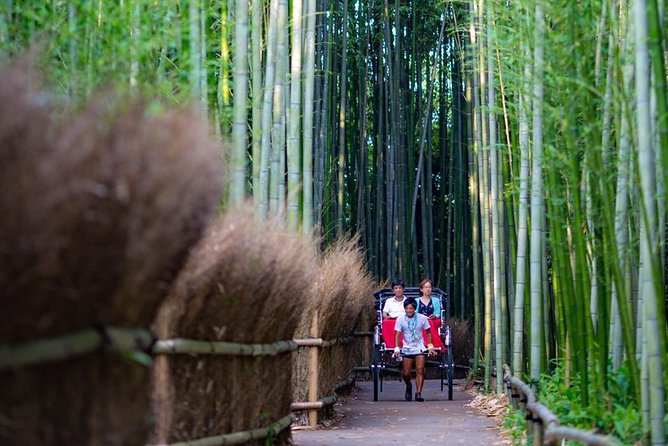 Kyoto Arashiyama Rickshaw Tour With Bamboo Forest - Last Words