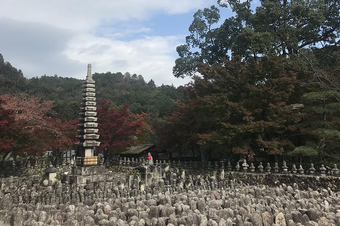 Kyoto: Descending Arashiyama (Private) - Testimonials