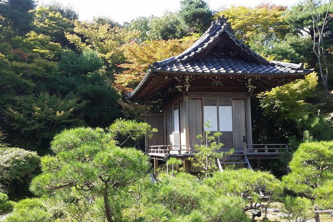 Kyoto : Immersive Arashiyama and Fushimi Inari by Private Vehicle - Tour Itinerary
