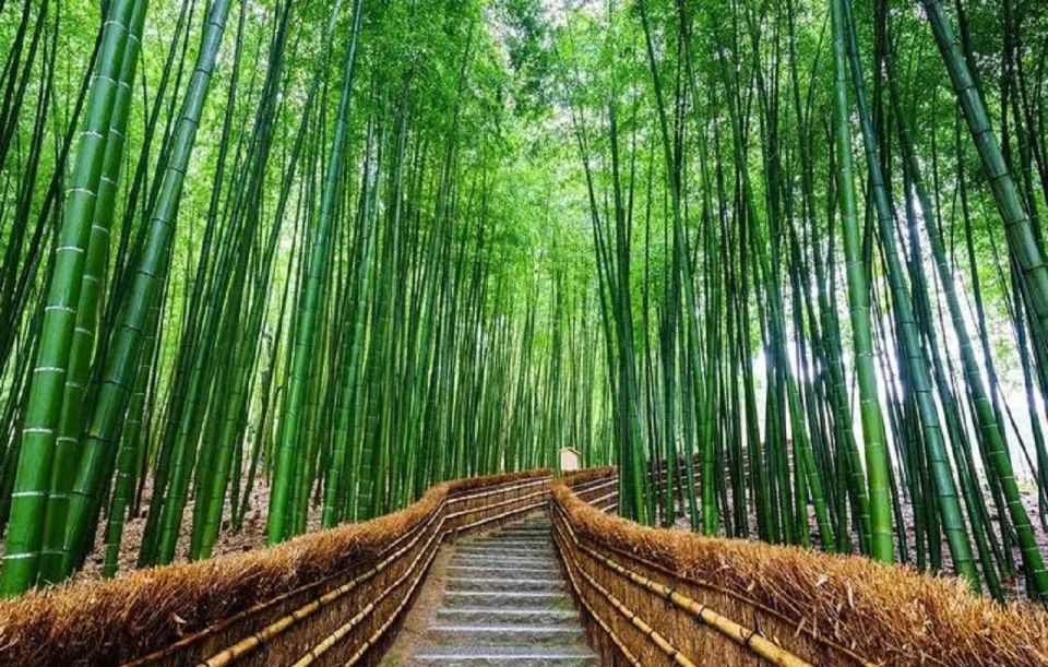 Kyoto Sanzenin Temple,Arashiyama Day Tour From Osaka/Kyoto - Arashiyama Bamboo Grove Visit