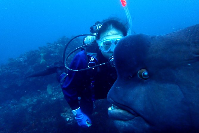 Lets Enjoy Scuba Diving in Izu Oceanic Park Izu Peninsula for Certificate Diver - Directions to Izu Oceanic Park