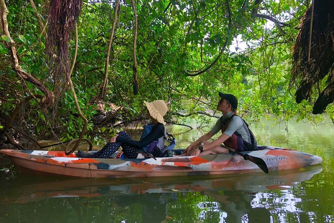 Mangrove Kayaking to Enjoy Nature in Okinawa - Additional Information