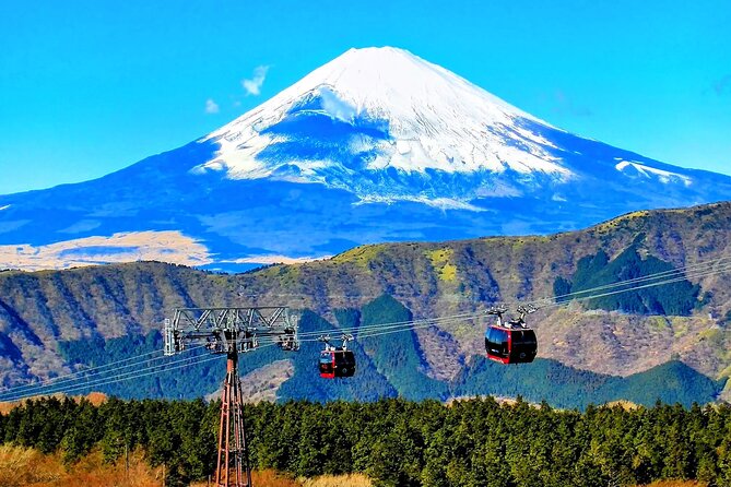 Mt Fuji and Hakone 1-Day Bus Tour by Bus - Common questions
