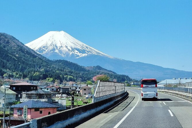 Mt. Fuji View and 2hours+ Free Time at Gotemba Premium Outlets - Return to Tokyo