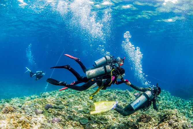 Naha: Full-Day Introductory Diving & Snorkeling in the Kerama Islands, Okinawa - Pricing Details