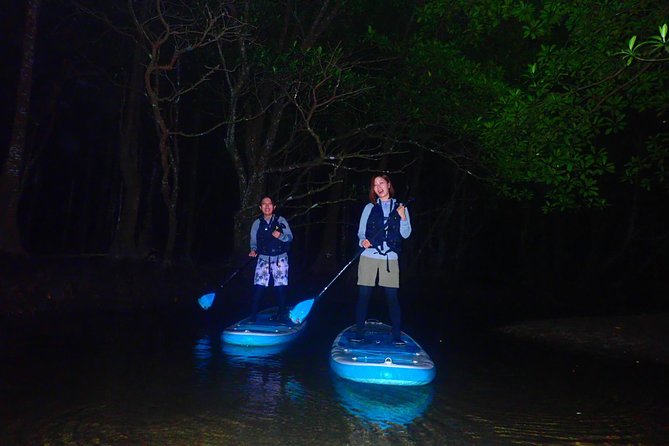 [Okinawa Iriomote] Night SUP/Canoe Tour in Iriomote Island - Common questions