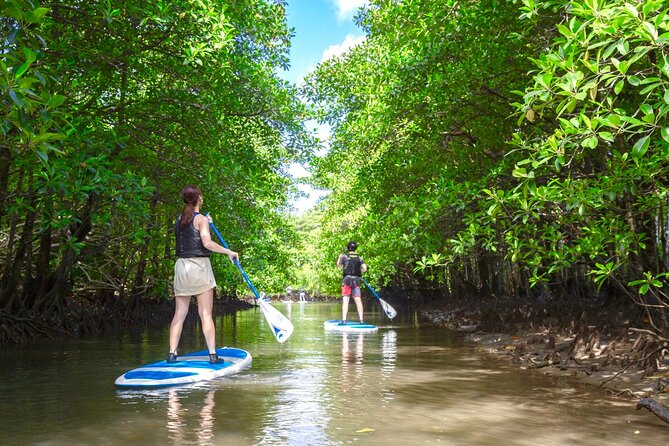 [Okinawa Iriomote] Sup/Canoe Tour in a World Heritage - Accessibility and Cancellation Policy