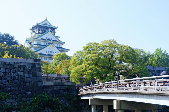 Osaka Like a Local: Customized Private Tour - Pricing Details