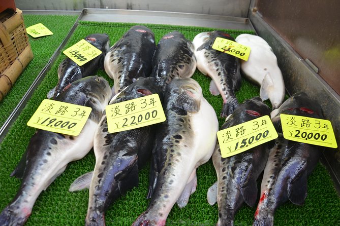 Osaka Market Food Tour - Pricing and Booking