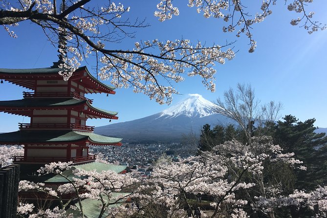 Private Car Mt Fuji and Gotemba Outlet in One Day From Tokyo - Highlights