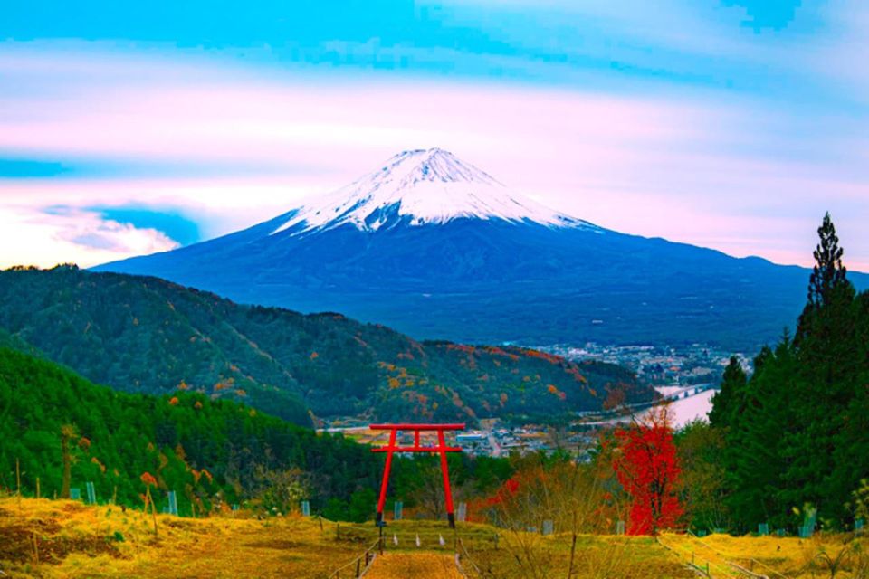 Private Guided Tour in Mount Fuji and Hakone - Additional Information