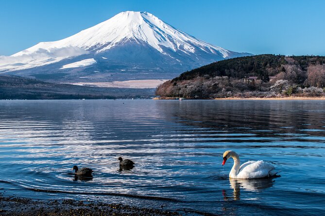Private Mount Fuji Tour With English Speaking Chauffeur - Weather and Traffic Considerations