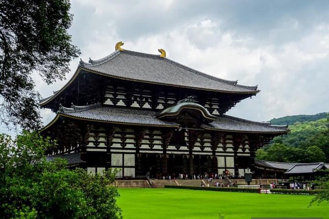 Private Tour Kyoto-Nara W/Hotel Pick up & Drop off From Kyoto - Customer Feedback