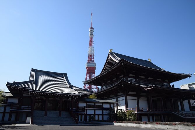 Tokyo City 1-Day Private Tour With Bilingual Driver - Customer Experiences