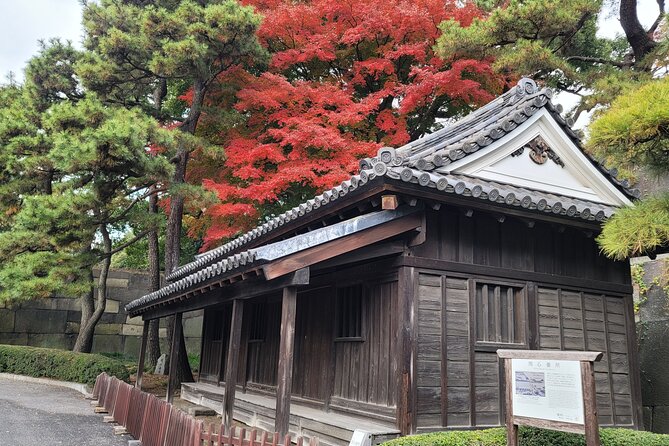 Tokyos Imperial Palace & Nihonbashi Tour - Accessibility Details