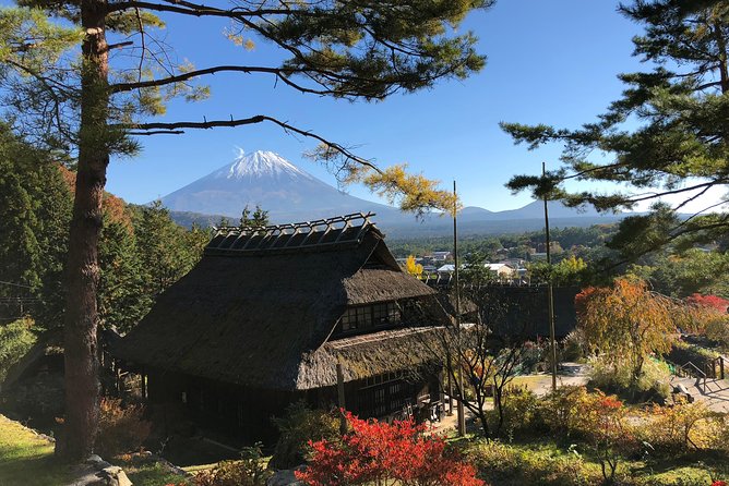 Tour Around Mount Fuji Group From 2 People ¥32,000 - Customer Reviews