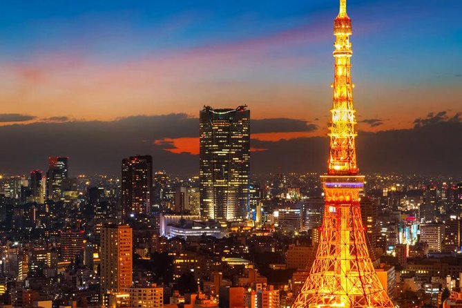 1 Day Charter Tour for Tokyo Sightseeing - Customer Reviews
