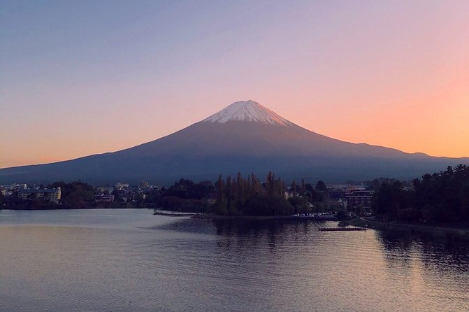 1 Day Charter Tour to Mt Fuji View - Common questions