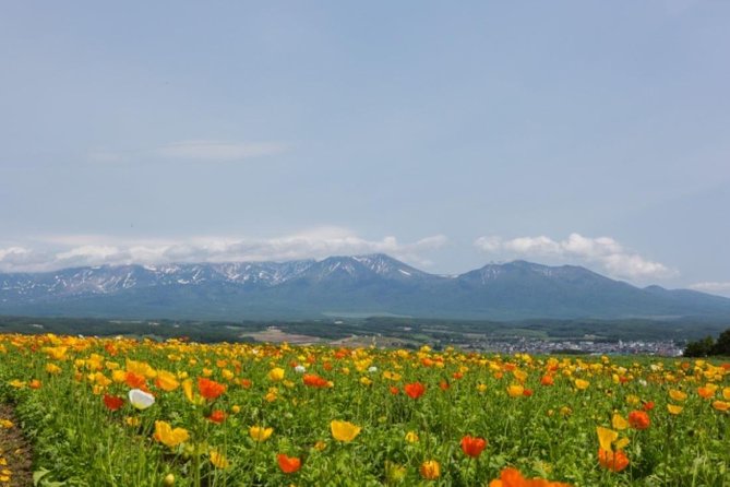 A Relaxing Day for Furano, Biei Blue Pond& Local Curry Lunch in Hokkaido! - Directions