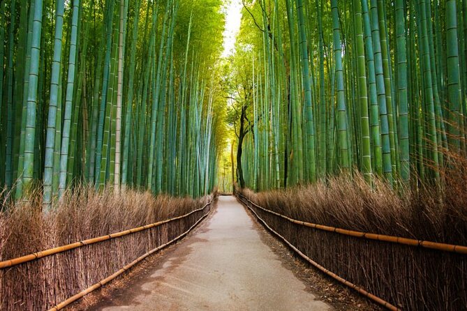 Arashiyama Walking Tour - Bamboo Forest, Monkey Park & Secrets - Customer Reviews