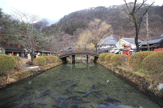 Chartered Private Tour - Tokyo to Nikko, Toshogu, Edo Wonderland - Common questions