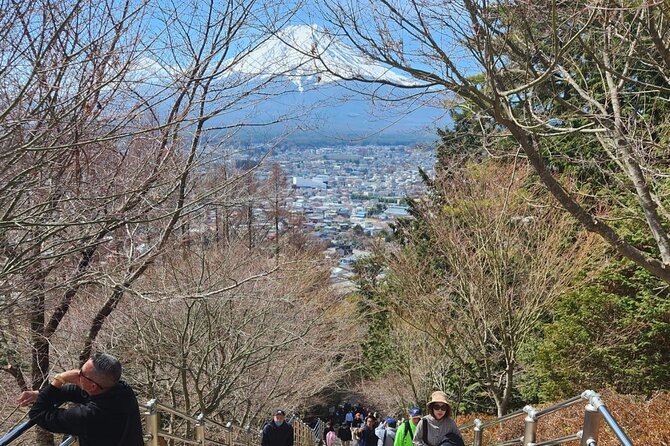 Day Private Tour of Hakone With English Speaking Driver - Common questions