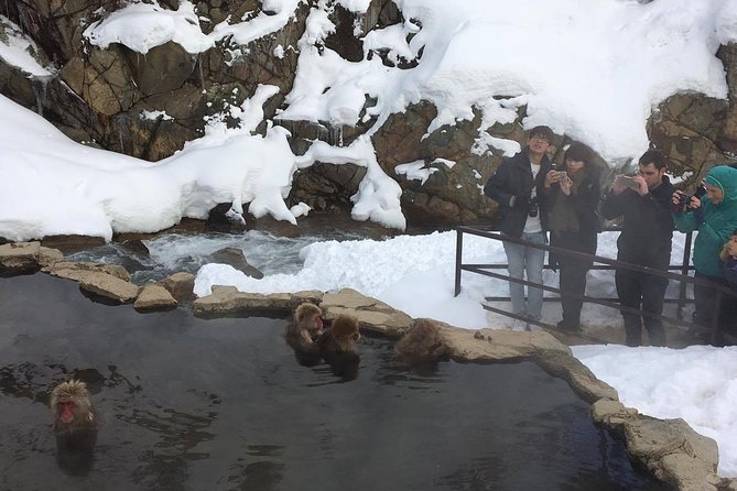 Explore Jigokudani Snow Monkey Park With a Knowledgeable Local Guide - Directions and Recommendations