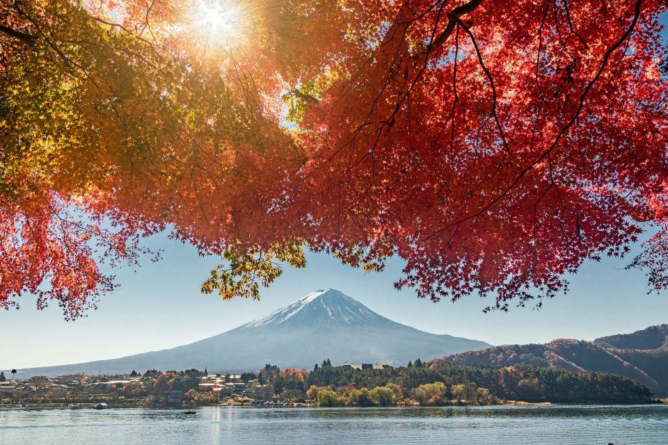 From Tokyo: Hakone, Owakudani, & Lake Kawaguchi Day Tour - Directions