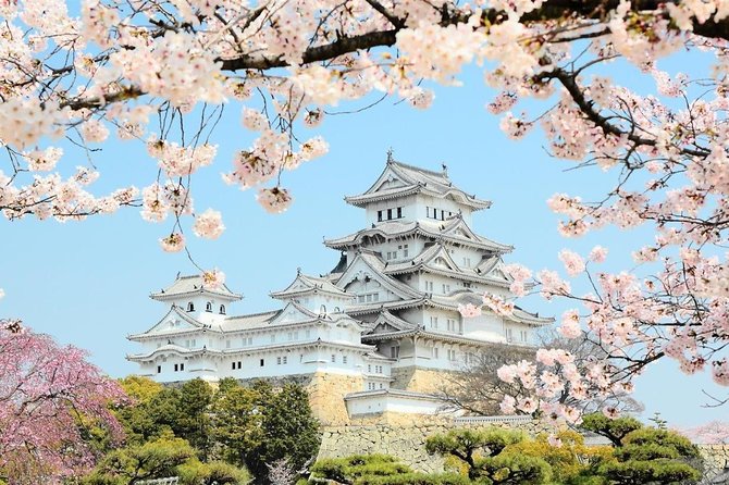 Himeji Half-Day Private Tour With Government-Licensed Guide - Transportation Options