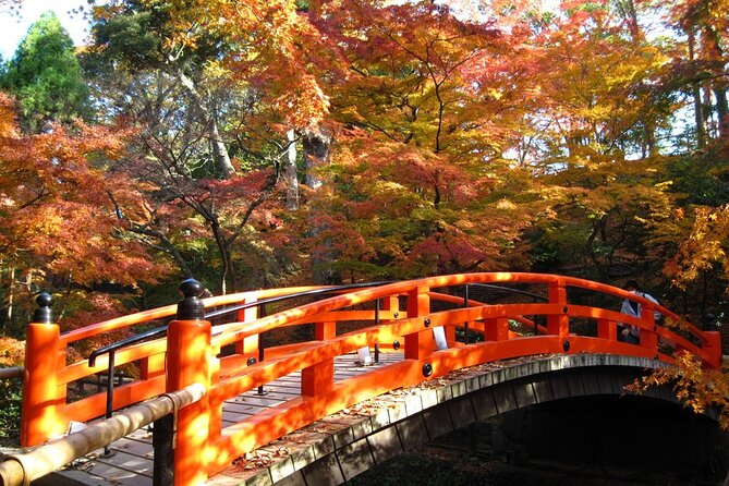 Historical Kyoto Bike Tour - Reviews and Ratings