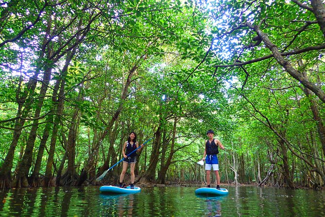 [Iriomote]Sup/Canoe Tour + Sightseeing in Yubujima Island - Directions to Meeting Point