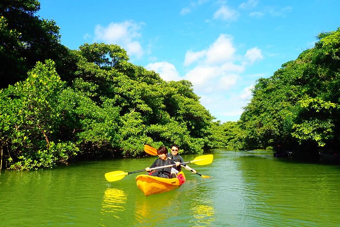 [Ishigaki]Mangrove SUP/Canoe Tour - Common questions