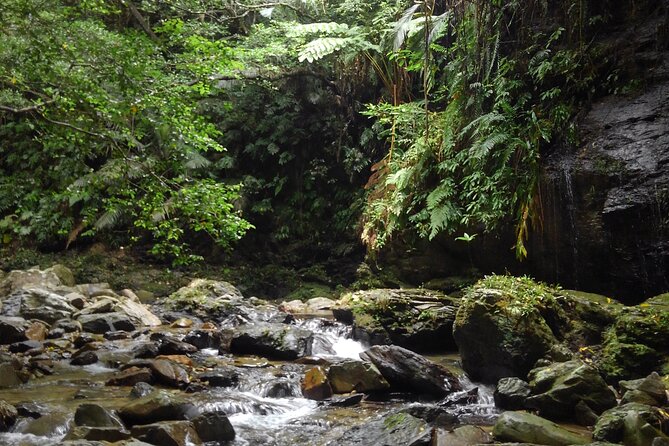 Jungle River Trek: Private Tour in Yanbaru, North Okinawa - Common questions
