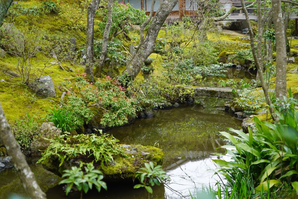 Kyoto: 4-Hour Arashiyama Walking Tour - Visit Tenryu-Ji Temple and Enjoy a Traditional Lunch