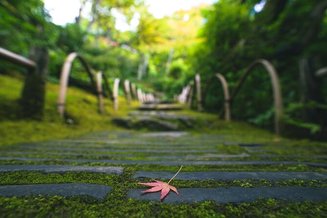 Kyoto Arashiyama Bamboo Forest & Garden Half-Day Walking Tour - Additional Information