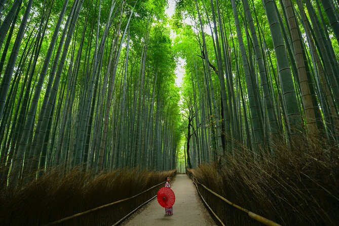 Kyoto: Arashiyama Bamboo, Temple, Matcha, Monkeys & Secret Spots - Insider Tips