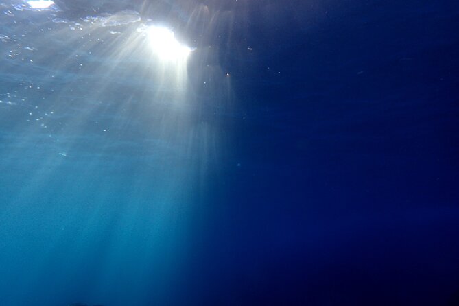 Lets Enjoy Scuba Diving in Izu Oceanic Park Izu Peninsula for Certificate Diver - How to Book and Prepare