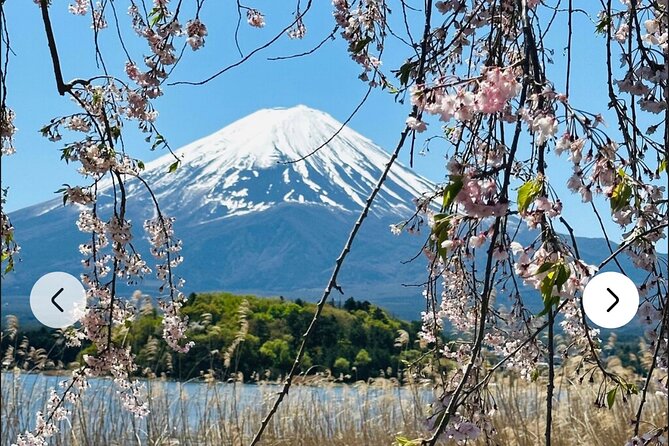 Mt. Fuji, Hakone Full-Day Private Tour With English Driver Guide - Itinerary Highlights