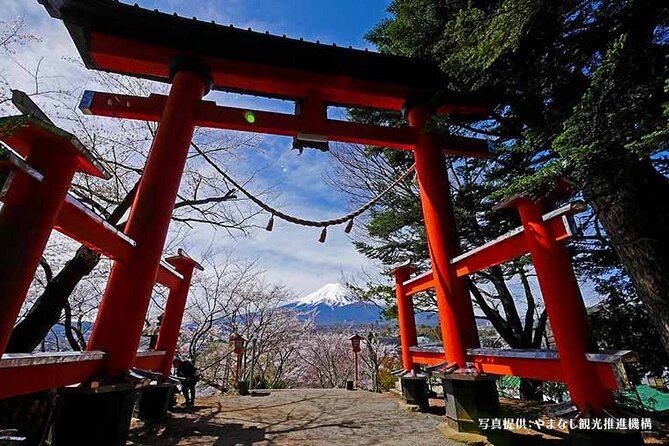 Mt.Fuji, Oishi Park & Arakurayama Sengen Park Bus Tour From Tokyo - Important Reminders