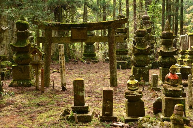 Mt. Koya Sacred Full-Day Private Tour (Osaka Departure) With Licensed Guide - Additional Expenses and Considerations
