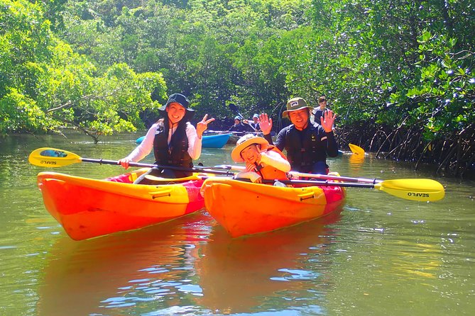 [Okinawa Iriomote] Sup/Canoe Tour in a World Heritage - Weather Dependency and Minimum Travelers