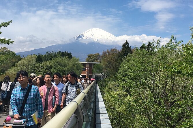 Private Car Mt Fuji and Gotemba Outlet in One Day From Tokyo - Benefits