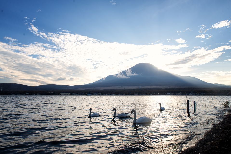 Private Full Day Sightseeing Tour to Mount Fuji and Hakone - The Sum Up