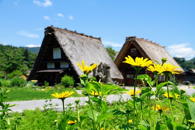 Private Tour of Shirakawago From Kanazawa (Half Day) - Pricing Information