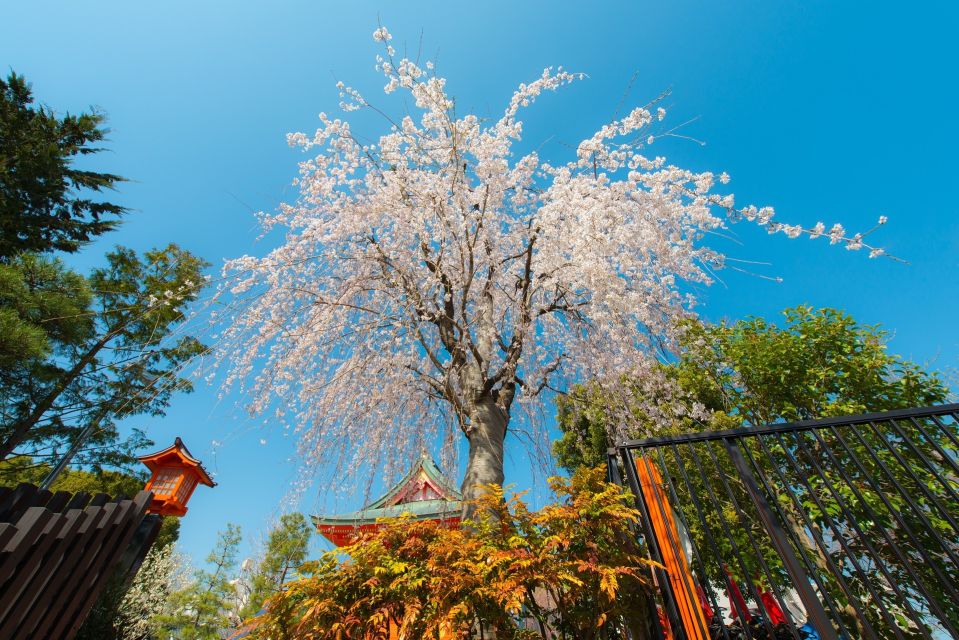 Sakura in Tokyo: Cherry Blossom Experience - Tips for Planning Your Sakura Experience in Tokyo